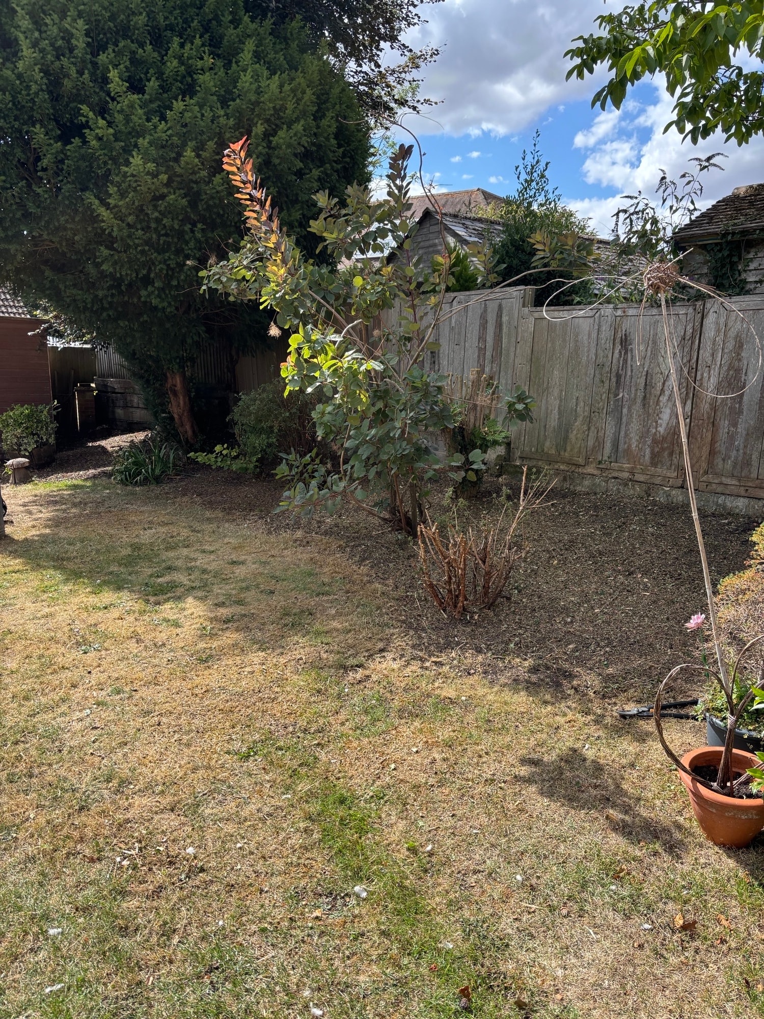 Cleared garden after Open Ground clearance — shed area