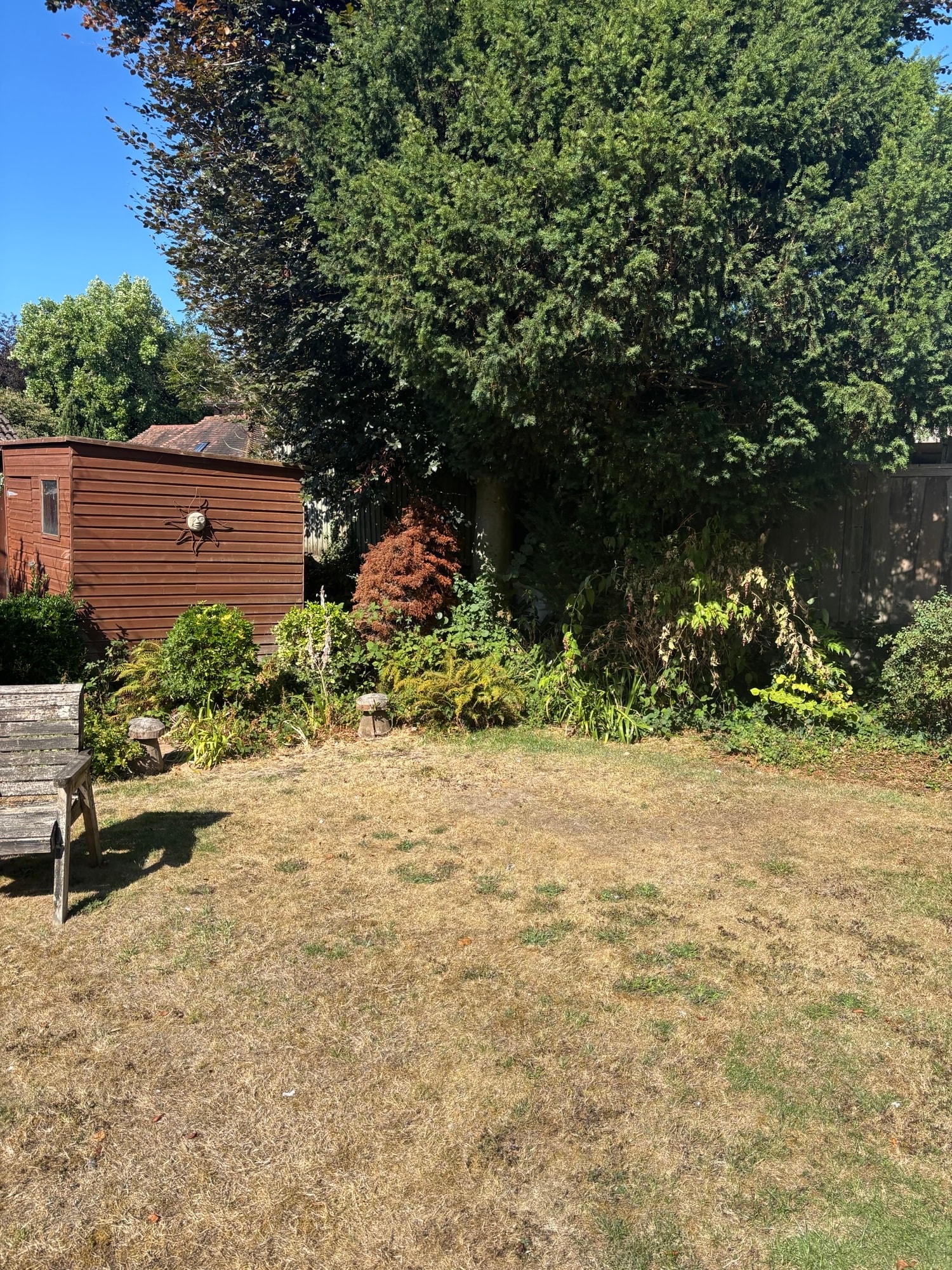 Overgrown garden entrance before clearance