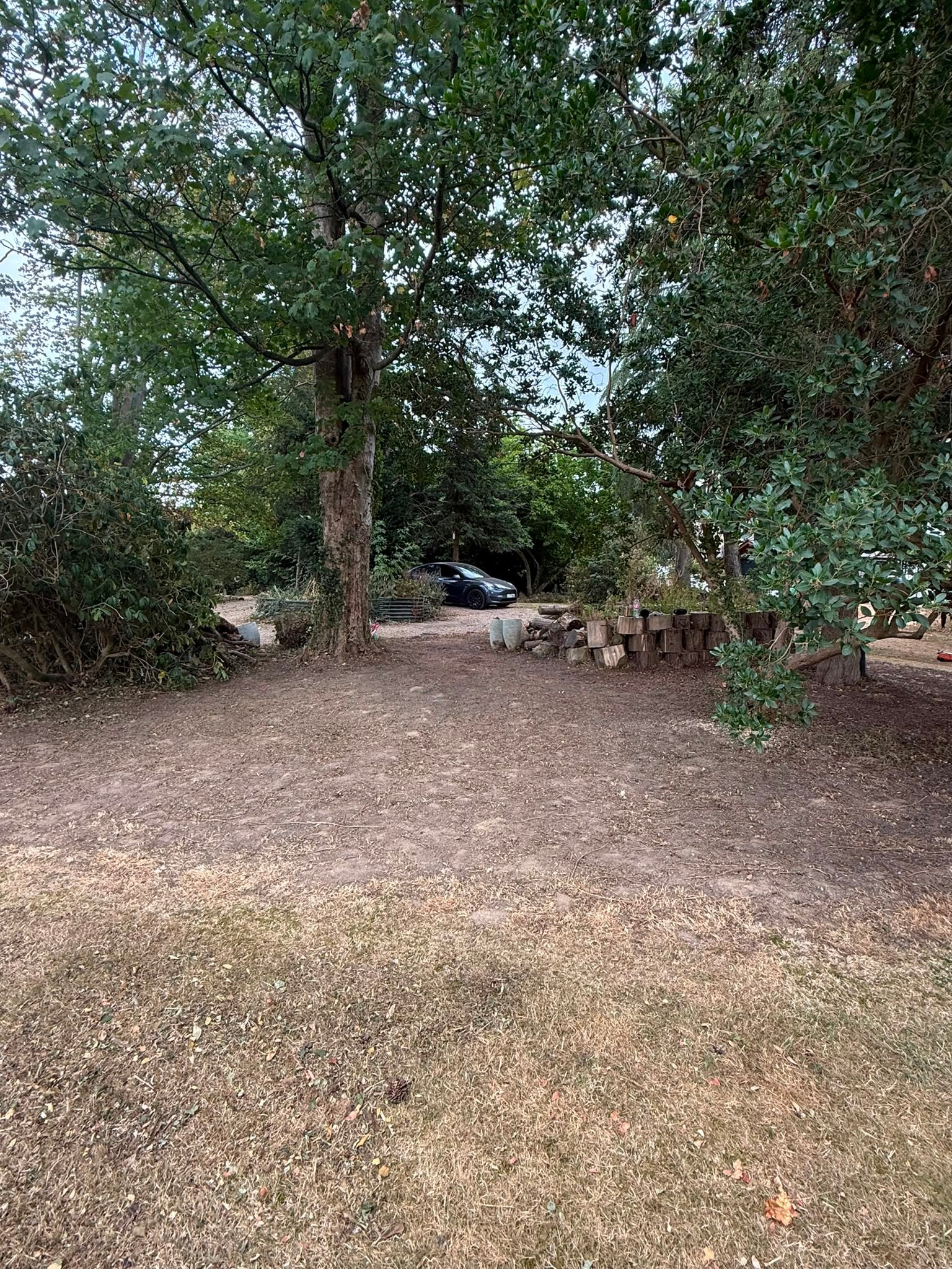 Cleared outdoor space after Open Ground shrub and tree clearance