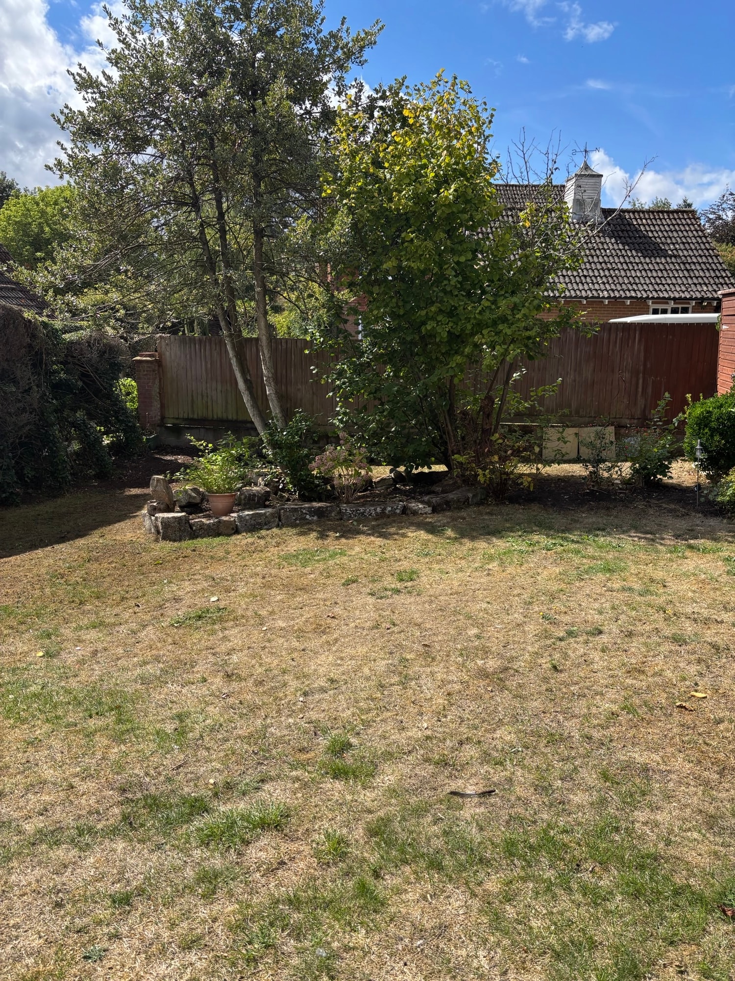 Cleared garden after Open Ground clearance — trees thinned and space opened up