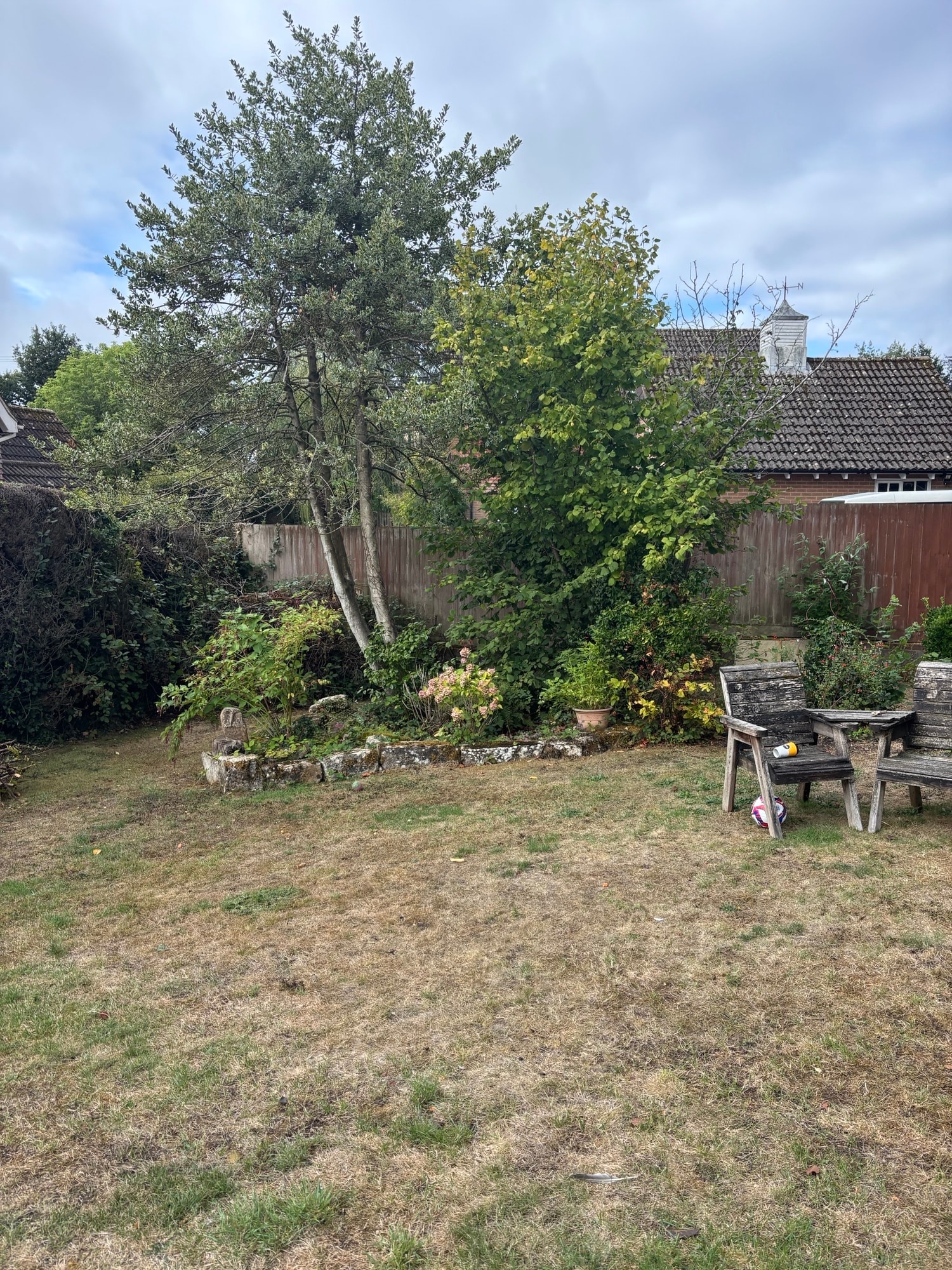 Overgrown garden with trees and chairs before clearance