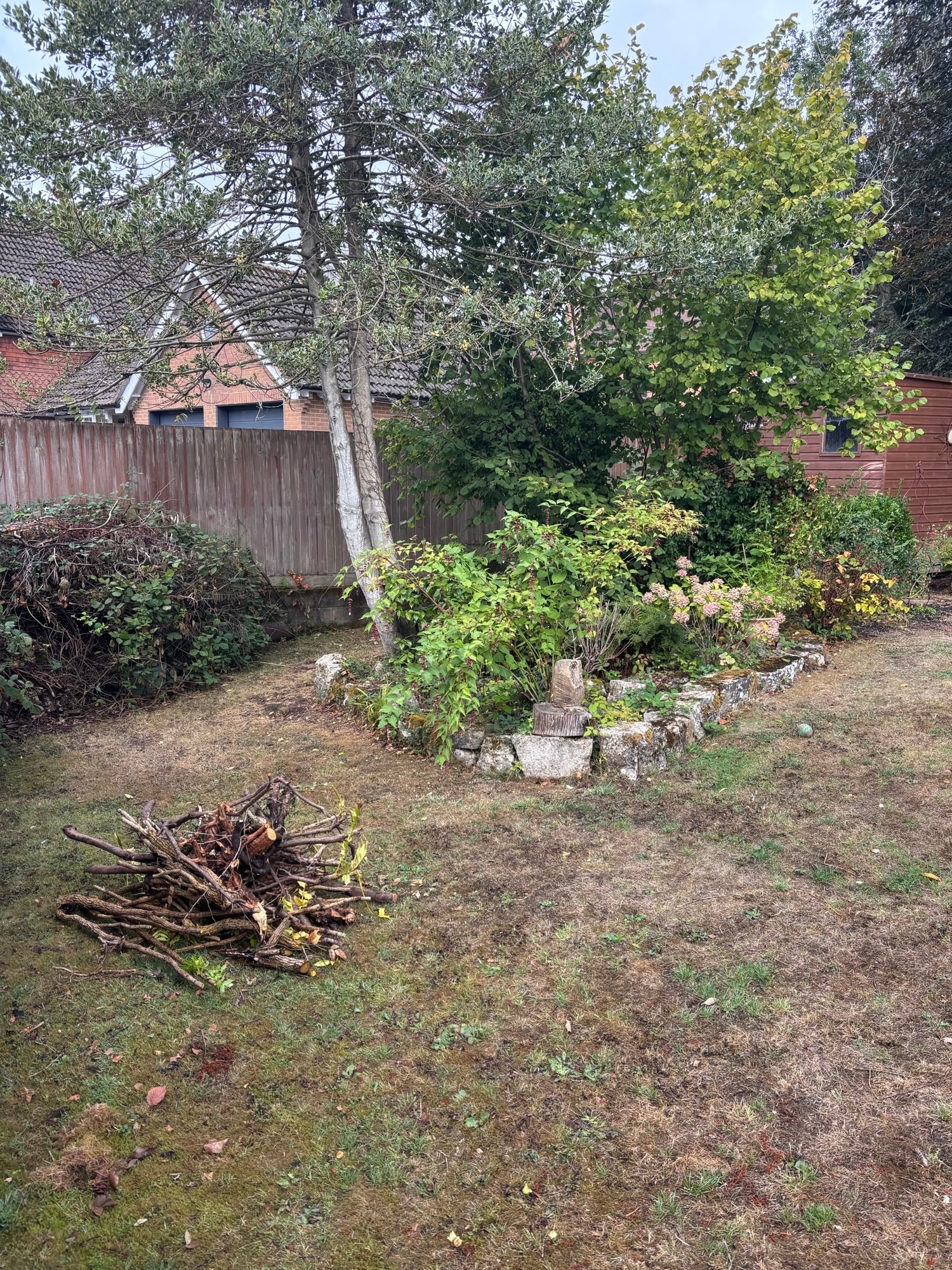 Overgrown garden with firepit and dense vegetation before clearance